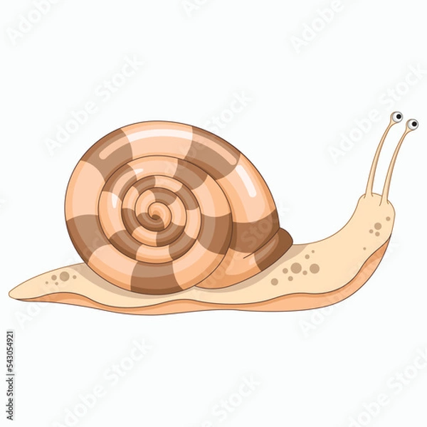 Obraz Vector Snail cartoon illustration.