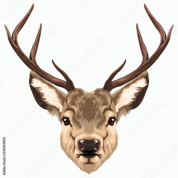 Obraz Deer head vector illustration.