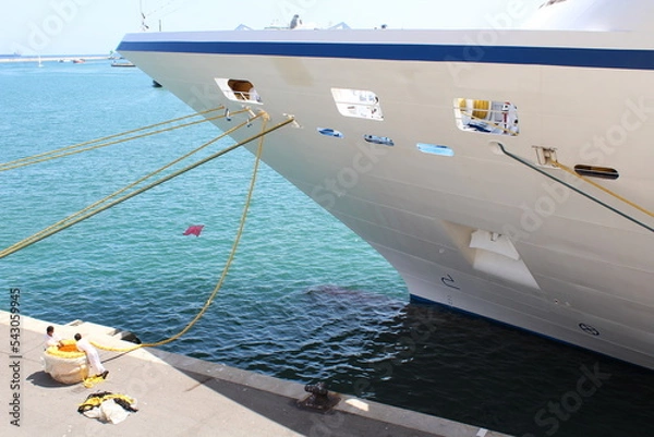 Obraz Passenger Ship