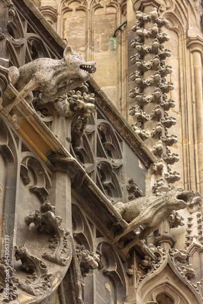 Fototapeta Elements of Gothic architecture. Grotesque, chimera and gargoyle sculptures on the facade of an ancient medieval cathedral. St. Stephen's Cathedral. Vienna. Austria