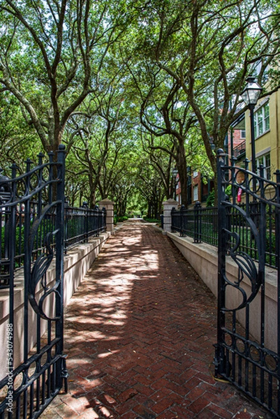 Fototapeta path in the park