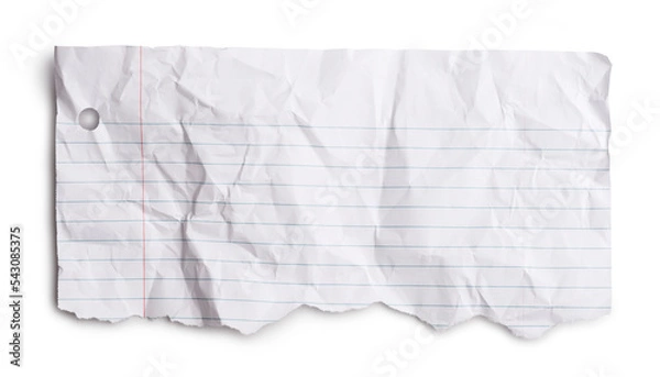 Obraz piece of torn wrinkled note paper 