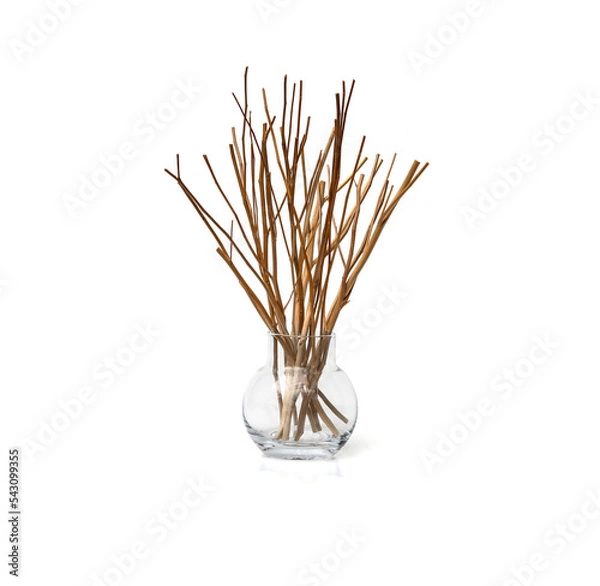 Obraz Dried sesame branches tree