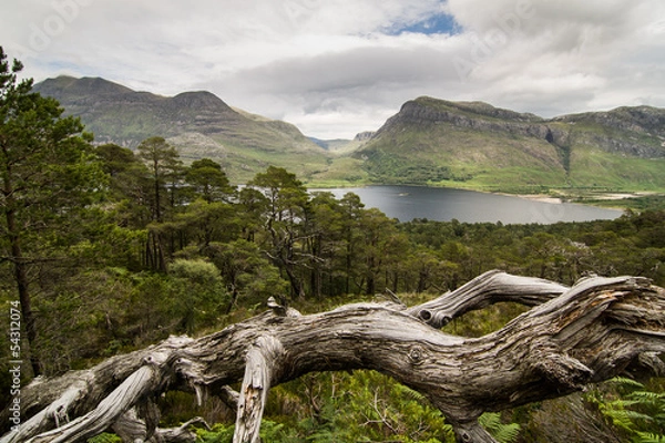 Obraz View of Loch Maree, Scotland