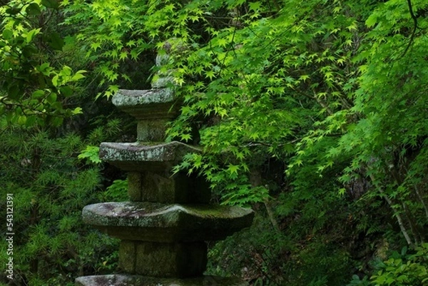 Obraz 石造五重塔ともみじ