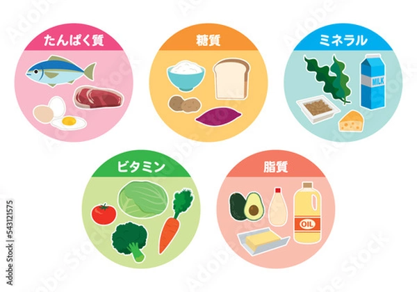 Fototapeta ５大栄養素の食材