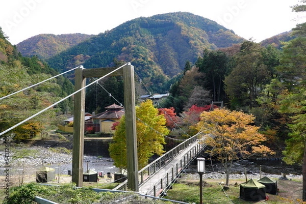 Fototapeta 山梨県丹波山村丹波川の吊り橋