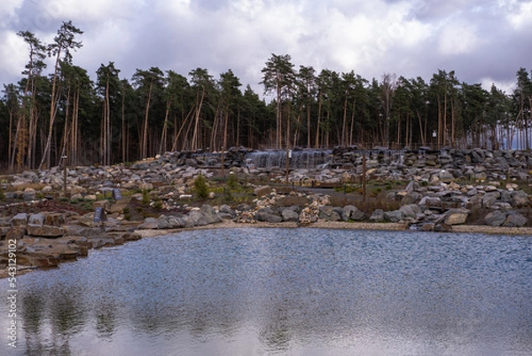 Obraz lake in the forest