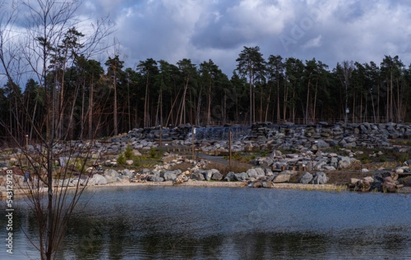 Obraz lake and forest
