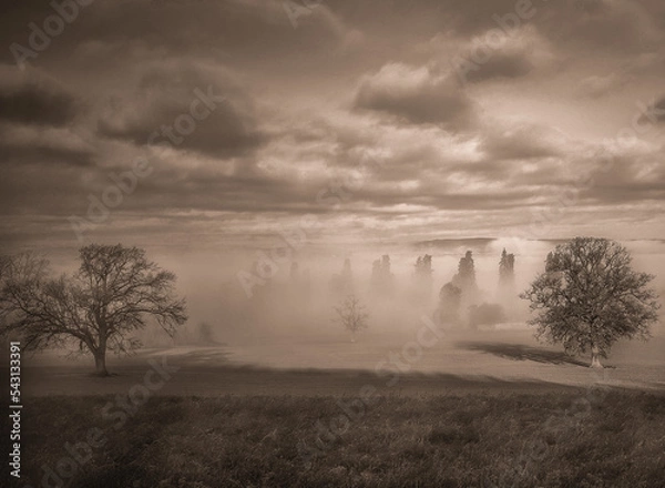 Obraz misty morning mist