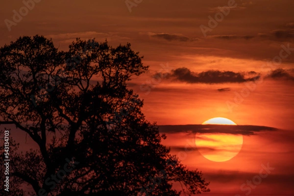 Obraz sunset over the river