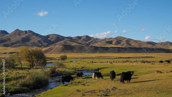 Obraz Yacks on the side of the river in Orkhon valley in Mongolia