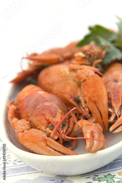 Obraz Crayfish crab crawfish red on a platter