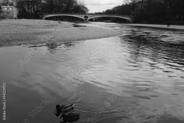 Obraz River in the city
