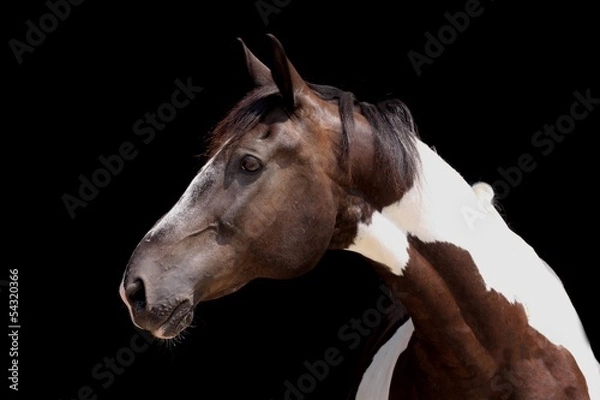 Obraz sprawdź na czarnym tle