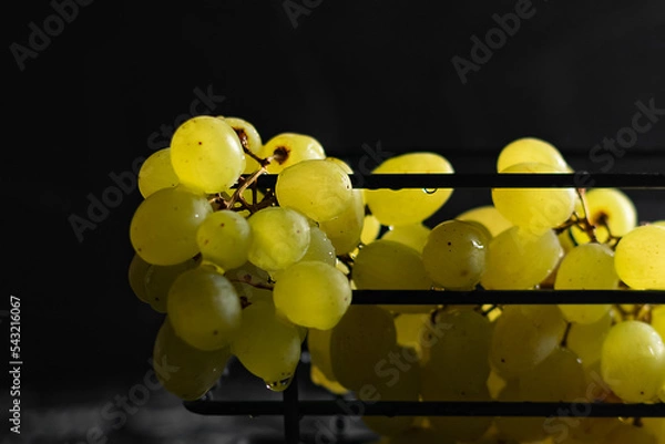 Fototapeta Kishmish grapes in a metal black grid stand, on a black background, in a low key, dark photo