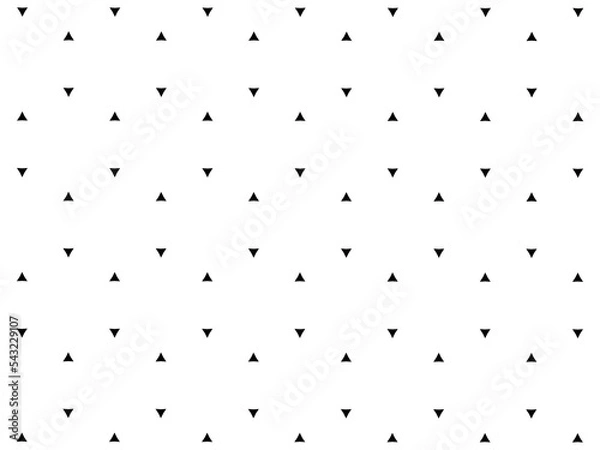 Fototapeta Ornament with elements of black and white colors.