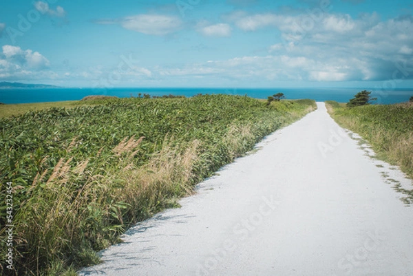 Obraz white path in wakkanai