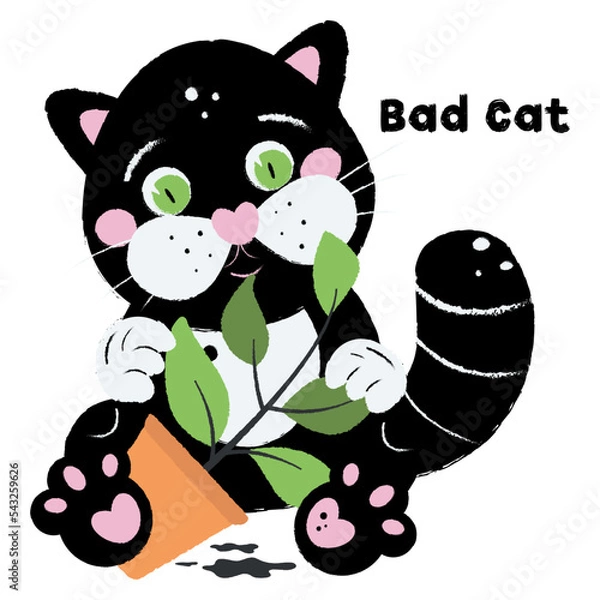 Fototapeta The cat dropped the flower pot. Bad cat. Black cat eats a flower.  Illustration on white background in cartoon style. Hand drawn. For print, web design.