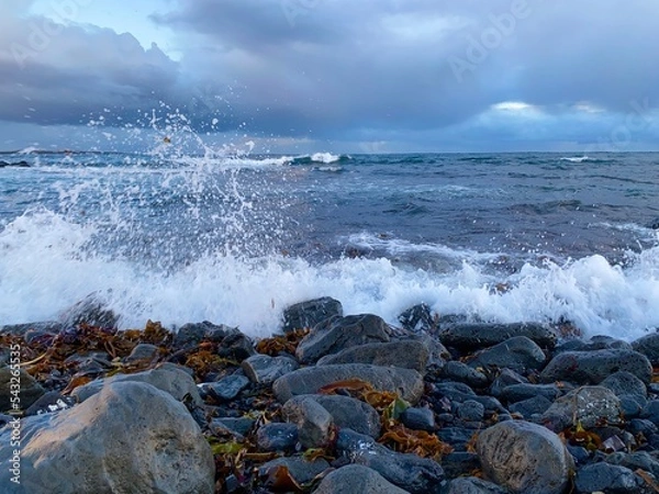 Obraz Ocean in Iceland 