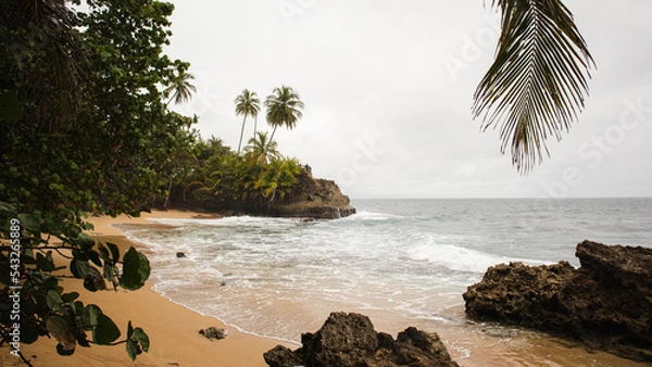 Fototapeta Wild beach in Gandoca Manzanillo National Park, Costa Rica. South Caribbean. Tropical cloudy beach landscape. Beach with palm trees and rocks.