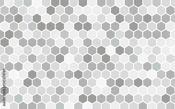 Obraz Vector seamless geometric pattern in grey tints. Grid of octagons. Modern stylish texture. Repeating geometric background. Abstract bg. Vector design. Monochrome background.