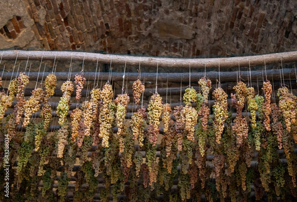 Obraz uva appesa per creare il passito