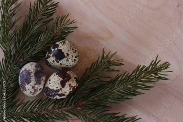 Obraz quail eggs 