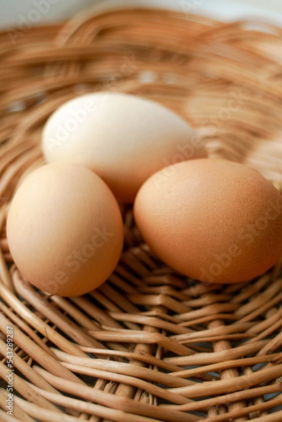 Obraz Three chicken eggs of different colors and different sizes lie in a wicker basket