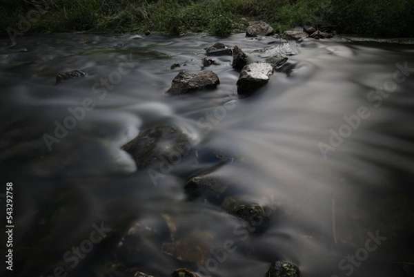 Obraz stream in the forest