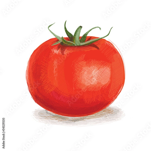 Obraz Handmade red tomato isolated on white background