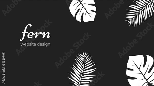 Obraz website design fern