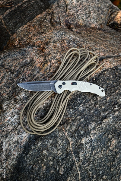 Obraz snake in the sand