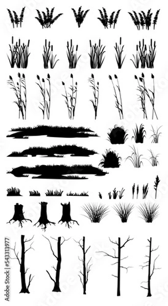 Fototapeta Set of swamp grass, reed shoots, reeds and coastal thickets. Fern, tree trunks and rotten stumps. Swamp landscape. View of the river bank. Silhouette picture. Isolated on white background. Vector.