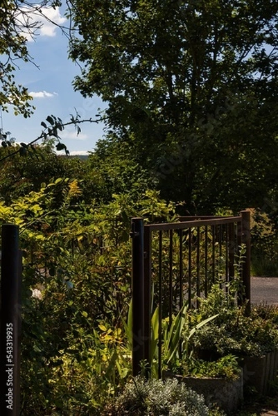 Obraz Ein Stillleben bei Ruhla.