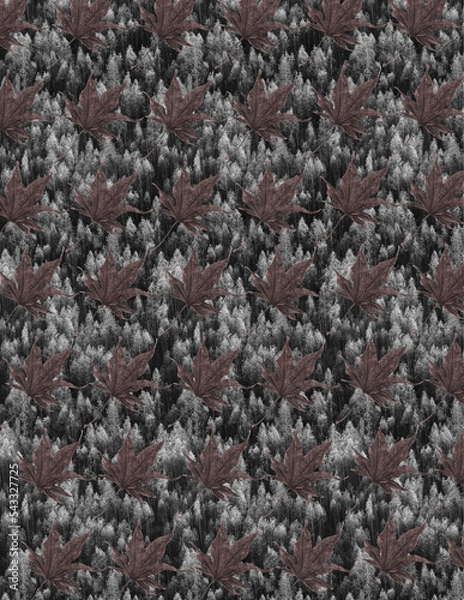 Obraz trees and leaves during the fall