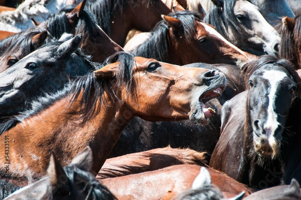 Obraz rapa las bestas sabucedo