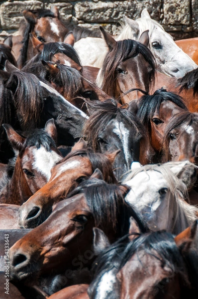 Obraz rapa las bestas sabucedo