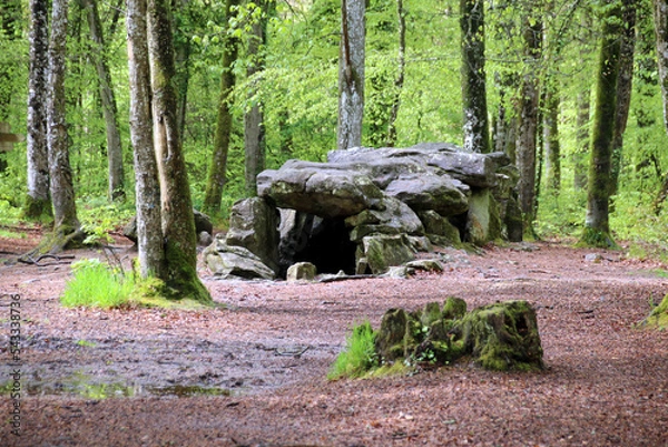 Obraz Allée couverte de Tressée