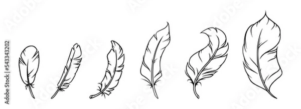 Fototapeta Feather sketch. Feather for decoration or writing. Vector illustration isolated on white background