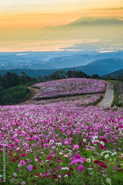 Obraz 長崎県で撮影