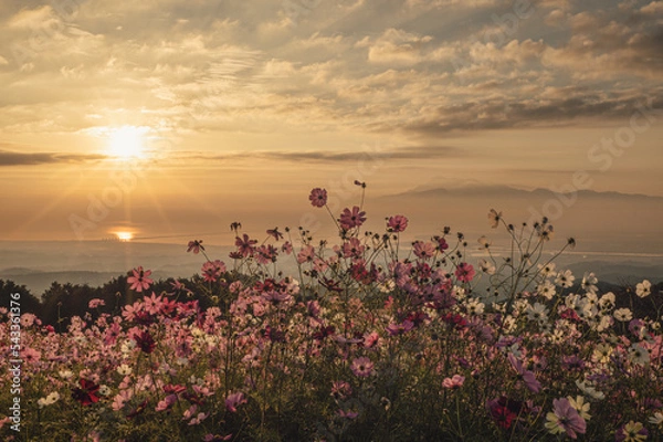 Obraz 長崎県で撮影