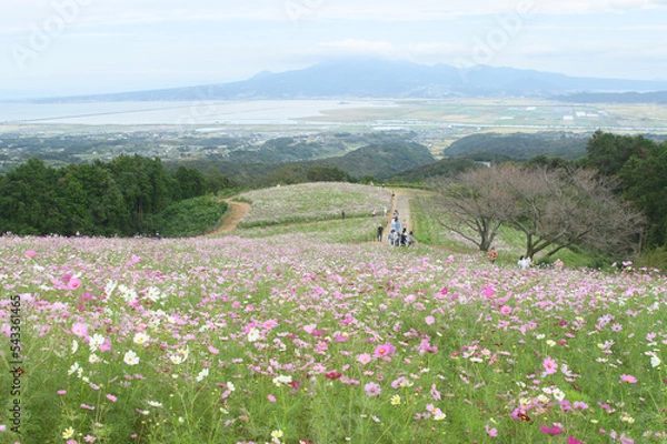Obraz 長崎県で撮影
