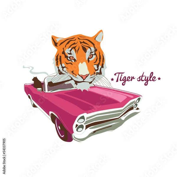Obraz Smoking tiger portret in retro car