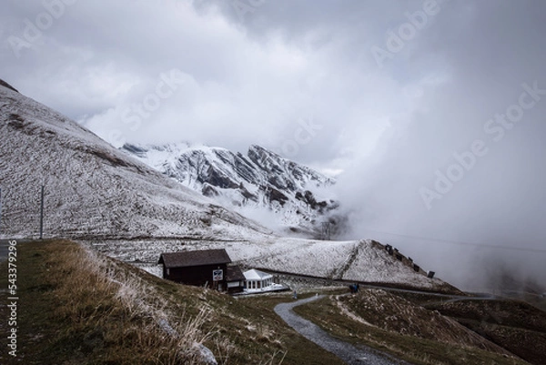 Obraz 스위스 융프라우 사진