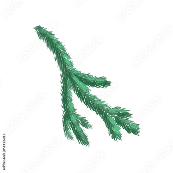 Fototapeta Christmas fir branches in the background