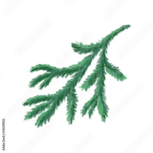 Fototapeta Christmas fir branches in the background
