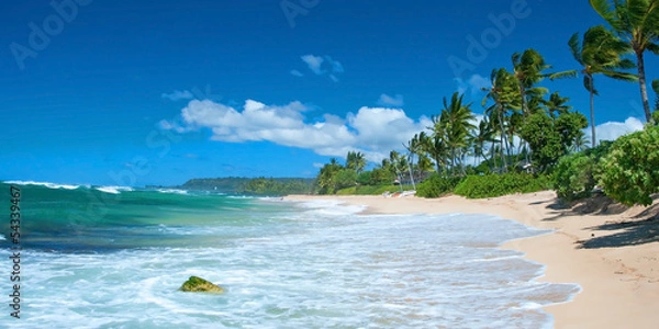Obraz Untouched sandy beach with palms trees and azure ocean in backgr