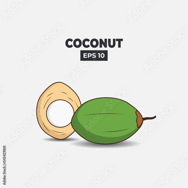 Obraz Coconut vector illustration