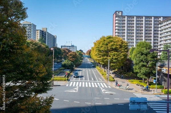 Obraz 光が丘公園のマンション郡・タワマン